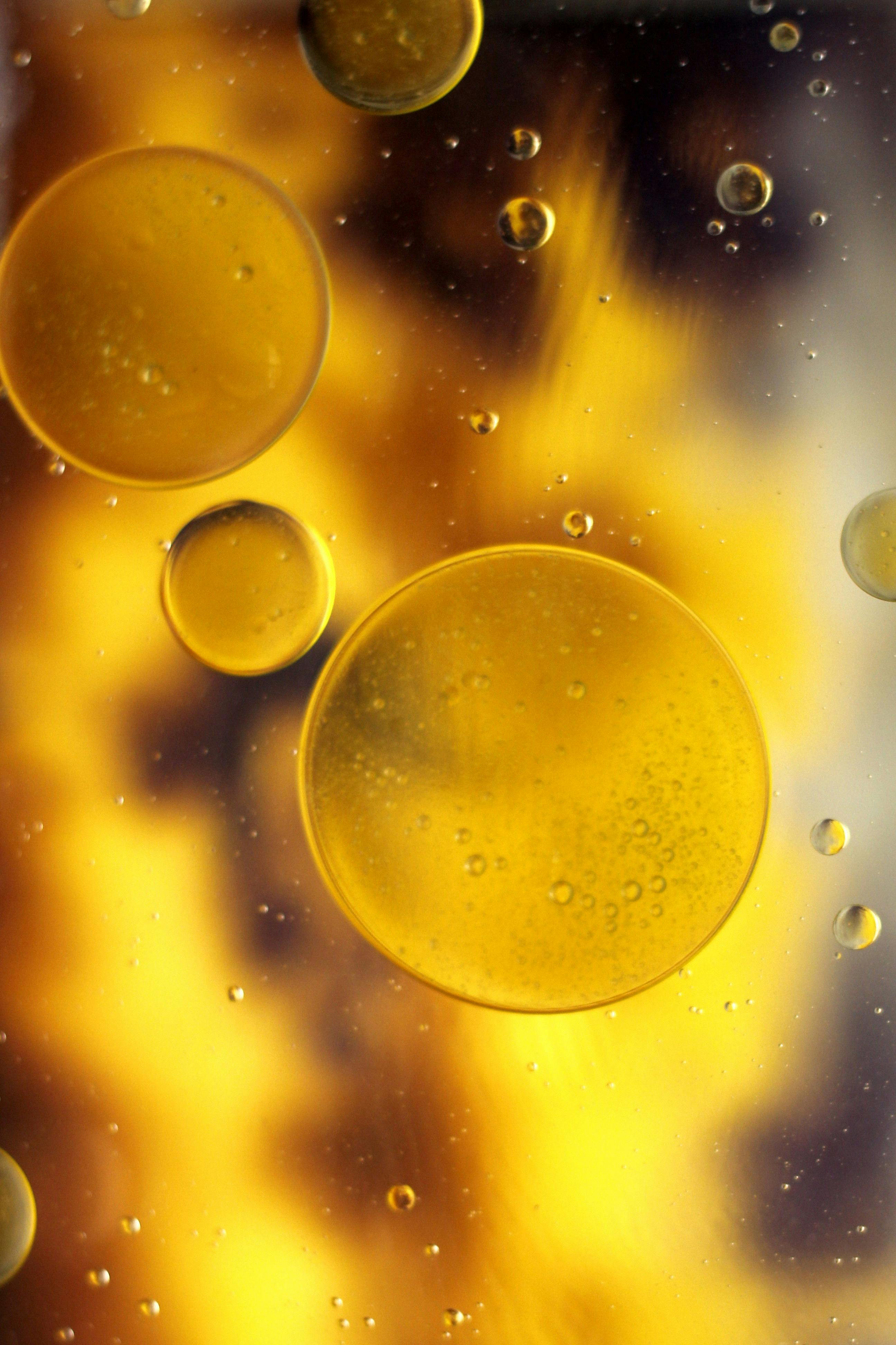 Close-up of oil and water bubbles in a dark liquid