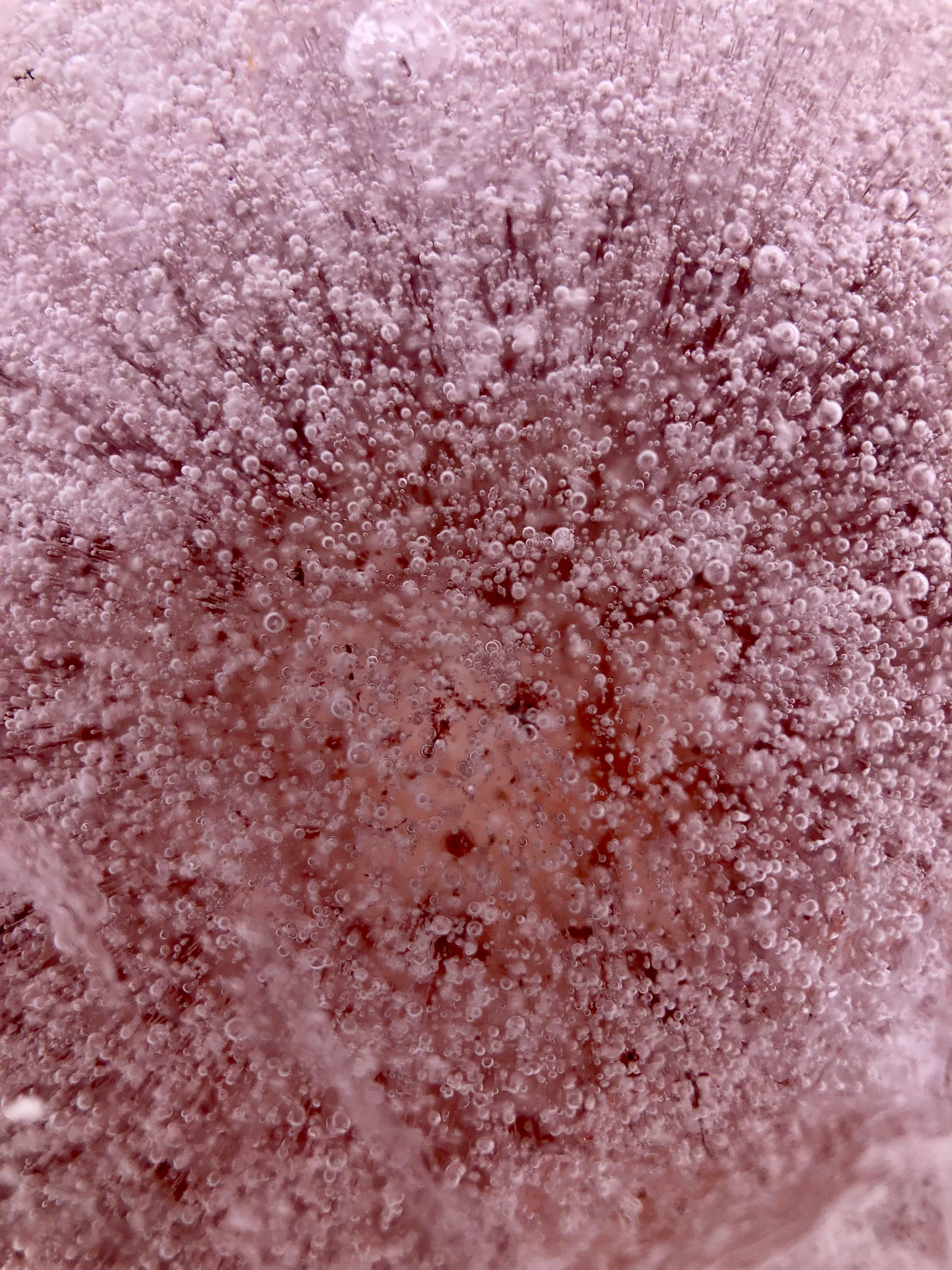 Close-up of a textured surface with a pinkish-brown color.